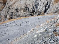 Asphalt Road Curving Through Italian Landscape