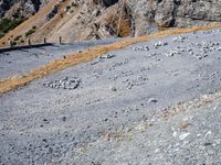 Asphalt Road Curving Through Italian Landscape