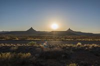 Asphalt Road Through the Desert Plain