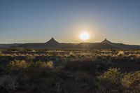Asphalt Road Through the Desert Plain
