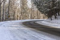 Asphalt Road Through the Forest in Canada