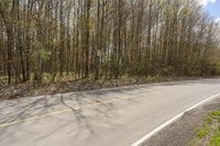 a single yellow line on an empty, asphalt road in the middle of forest with a sign on one side