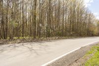 a single yellow line on an empty, asphalt road in the middle of forest with a sign on one side