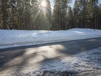 Asphalt Road in Germany: Forest Covered in Wetness