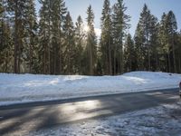 Asphalt Road in Germany: Forest Covered in Wetness