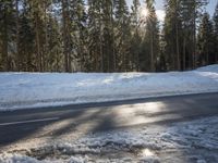 Asphalt Road in Germany: Forest Covered in Wetness