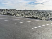 Asphalt Road in Iceland: Winding Through a Grassy Landscape