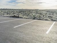 Asphalt Road in Iceland: Winding Through a Grassy Landscape