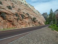 Asphalt Road through the Landscape of Zion National Park