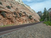 Asphalt Road through the Landscape of Zion National Park