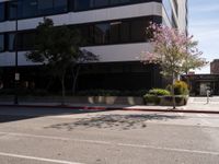 Asphalt Road in Los Angeles, California under a Clear Sky