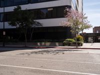 Asphalt Road in Los Angeles, California under a Clear Sky