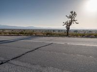 Asphalt Roads in Los Angeles, California: A Scenic Day