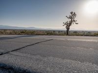 Asphalt Roads in Los Angeles, California: A Scenic Day