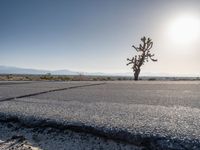 Asphalt Roads in Los Angeles, California: A Scenic Day