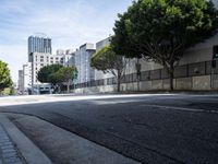 Asphalt Road in Los Angeles with Clear Skies
