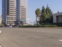 an empty road in front of tall buildings near a street with trees on one side and cars on the other