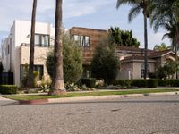 Asphalt Road in Los Angeles Residential Area