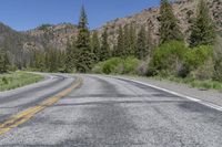 a tree lined mountain side road in the mountains with a motorcycle on the road in front