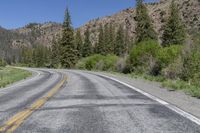 a tree lined mountain side road in the mountains with a motorcycle on the road in front