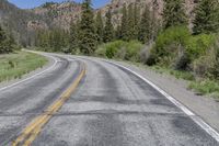 a tree lined mountain side road in the mountains with a motorcycle on the road in front