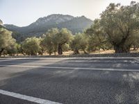 a motorcycle is parked in the road by trees and hills in the sun setting,