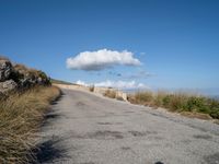 Asphalt Road in Mallorca: Crossing a Valley with Stunning Nature Views