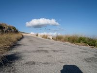 Asphalt Road in Mallorca: Crossing a Valley with Stunning Nature Views