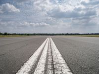 Asphalt Road in Nature: Trees and Plains