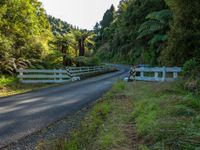 road and gate in lush countryside area, surrounded by trees with green foliage and forest on either side