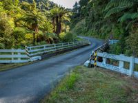 road and gate in lush countryside area, surrounded by trees with green foliage and forest on either side