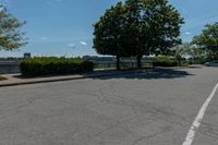 an empty lot in a city with a large tree on the corner and no traffic