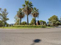 Asphalt Road and Roundabout in Europe