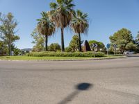 Asphalt Road and Roundabout in Europe