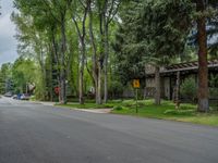 an empty street lined with trees and a mountain range in the distance in the back