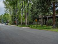 an empty street lined with trees and a mountain range in the distance in the back