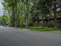 an empty street lined with trees and a mountain range in the distance in the back