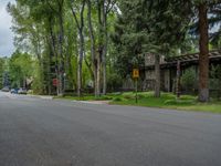 an empty street lined with trees and a mountain range in the distance in the back