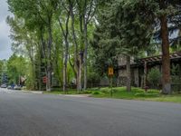 an empty street lined with trees and a mountain range in the distance in the back