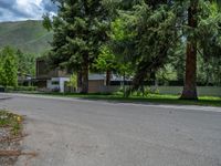 an empty street lined with trees and a mountain range in the distance in the back