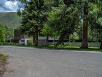 an empty street lined with trees and a mountain range in the distance in the back