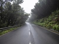 an empty road with many trees in the distance, and fog covering the road above