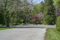 Asphalt Road in Toronto: Suburban Property View