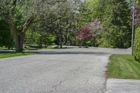 Asphalt Road in Toronto: Suburban Property View