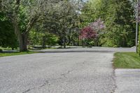 Asphalt Road in Toronto: Suburban Property View