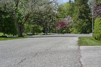 Asphalt Road in Toronto: Suburban Property View