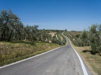 Asphalt Road in Tuscany, Europe