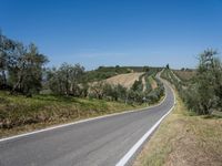 Asphalt Road in Tuscany, Europe