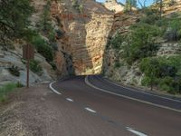 Asphalt Road in Zion National Park