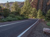 Asphalt Road in Zion National Park, Utah